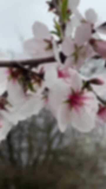 Einfach klasse, wie das @bark.date in #Heidelberg inzwischen angenommen wird. Tolle Hunde, perfekte Bedingungen, starke Orga und gute Gespräche auf der Hundewiese in Rohrbach-Süd. #tierschutz #hunde #hundeliebe
@4glueckspfoten @sieben_pfoten_nestgeschichten