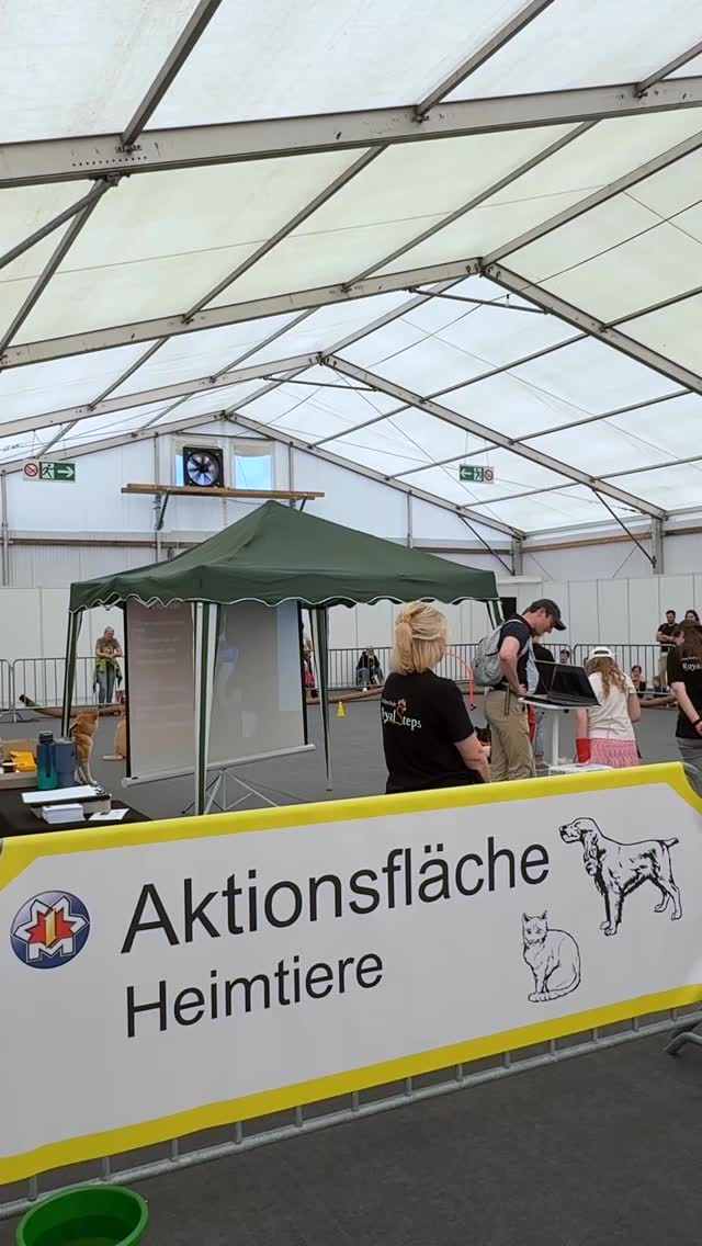 #Hundeschulen machen Programm auf dem @maimarktmannheim: Hier ein paar Eindrücke vom Programm in der Halle 2 „Unser Heimtier“. An jedem Tag um 10:30 Uhr, 11:30 Uhr, 14:30 Uhr und 15:30 Uhr bespielen @hundeschule.royalsteps und @pawcademy.eu die Aktionsfläche in der Halle. Die Themen heute: Longieren, Pubertät beim Hund, Top Dog-Training, Anti-Giftködertraining zum Mitmachen und Stresssignale. Mit praktischen Tipps und theoretischen Hintergründen nehmen wir Hundehalter:innen und Menschen, die es werden wollen, mit hinter die Kulissen des professionellen Hundetrainings. Und natürlich beantworten wir in den Pausen auch ganz individuell Fragen, die Euch mit Eurem Hund beschäftigen. Kommt einfach vorbei!
#hundetraining #hundeschule #maimarkt #mannheim